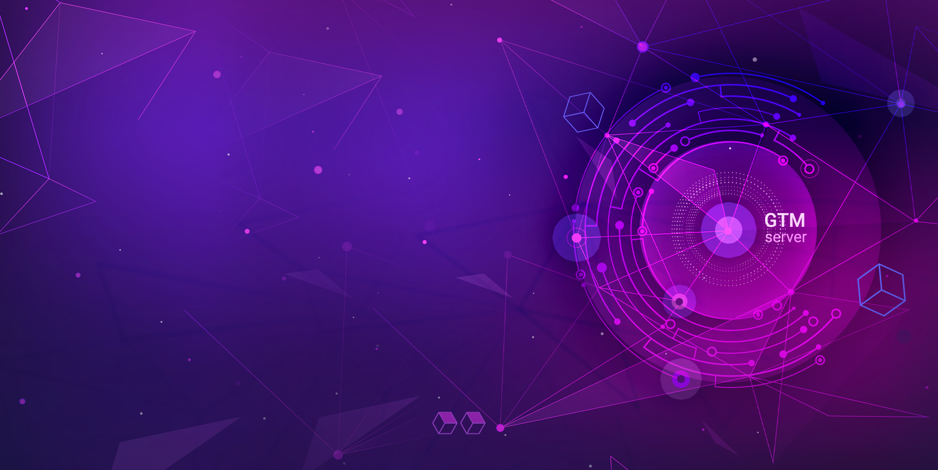 Server-Side Google Tag Manager