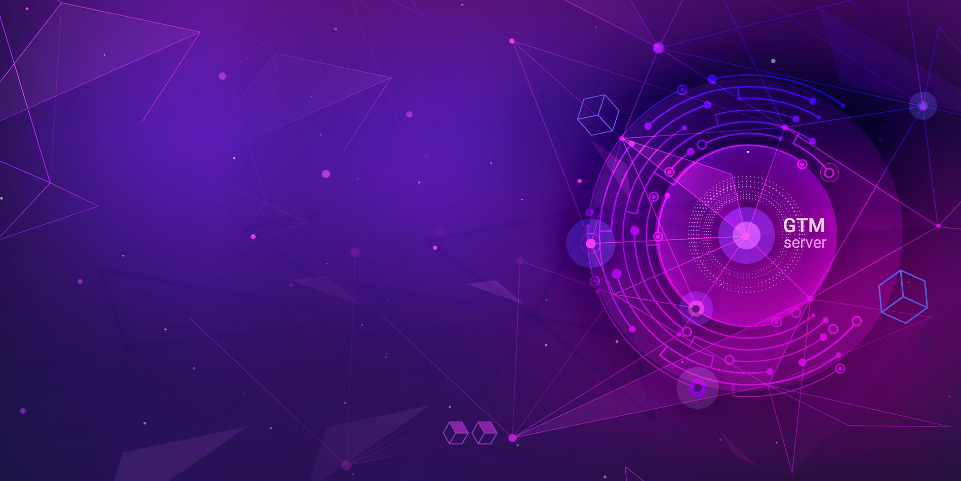 Server-Side Google Tag Manager